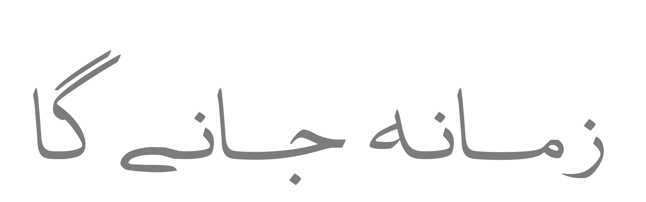 Parvaz Leadership Foundation Tagline, Leadership Development, 1 Degree Shift, 