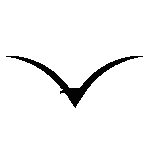Parvaz Foundation, Leadership Development, Islamic Leadership Coaching
